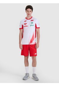 4f - 4F Spodenki meczowe replika męskie 4F x Polska Siatkówka - czerwone S. Kolor: czerwony. Materiał: włókno, dzianina, materiał, syntetyk. Długość: krótkie. Wzór: aplikacja, gładki, ze splotem. Sport: siatkówka