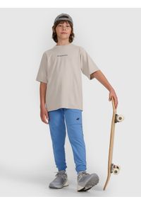 4f - 4F T-shirt oversize z nadrukiem chłopięcy - szary 128 (7-8 lat). Okazja: na co dzień. Kolor: szary. Materiał: jersey, bawełna, tkanina, dzianina. Długość rękawa: krótki rękaw. Długość: krótkie. Wzór: nadruk. Sezon: lato. Styl: sportowy, casual, vintage, klasyczny, elegancki