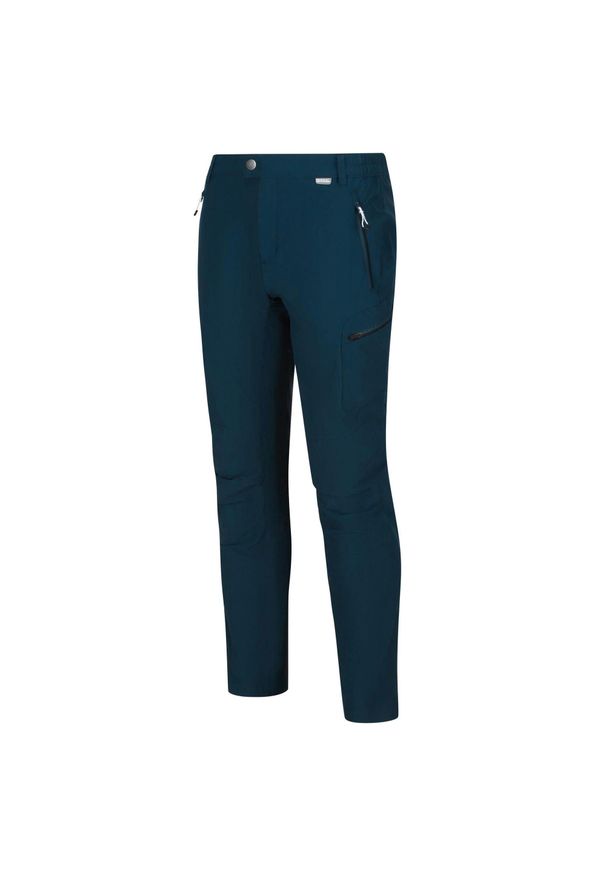 Spodnie trekkingowe dla mężczyzn Regatta HIGHTON TRS. Kolor: niebieski. Sezon: lato. Sport: turystyka piesza