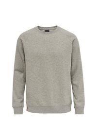 Bluza Hummel Red Classic. Kolor: szary. Materiał: polar, prążkowany, bawełna, materiał, poliester. Długość rękawa: raglanowy rękaw