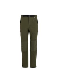 Regatta - Męskie Spodnie Do Chodzenia Montorn. Kolor: zielony. Sezon: lato. Sport: turystyka piesza #1
