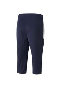 Spodnie męskie Puma teamLIGA Training 3/4 Pants. Kolor: biały, wielokolorowy, niebieski