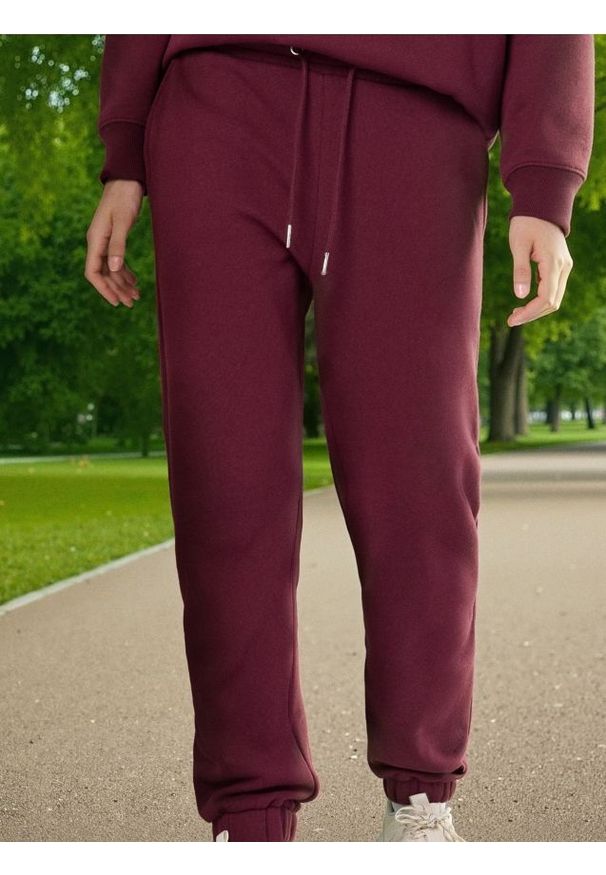 Sinsay - Spodnie dresowe jogger - bordowy. Kolor: czerwony. Materiał: dresówka