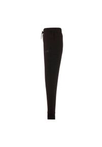 Puma Spodnie Spacer 84798701. Kolor: czarny. Sport: turystyka piesza