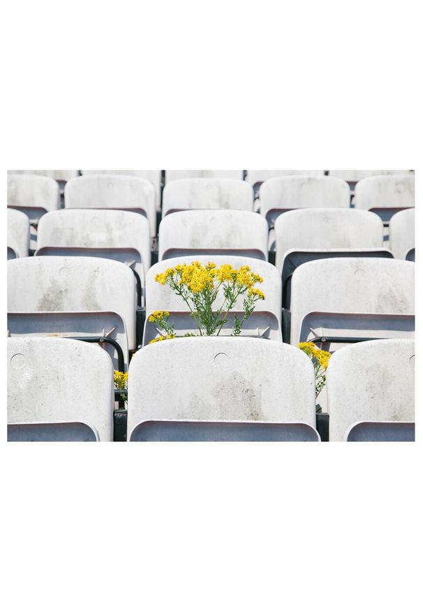 COPA FOOTBALL - Koszulka dla dorosłych - Glory x COPA Dalymount Park - Biały. Kolor: biały. Sport: piłka nożna