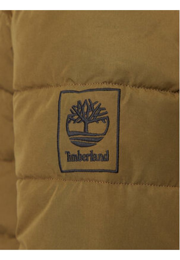 Timberland Kurtka zimowa South Twin Lake TB0A29PQ Zielony Regular Fit. Kolor: zielony. Materiał: bawełna. Sezon: zima