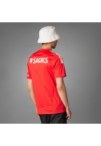 Adidas - Koszulka piłkarska ADIDAS Benfica domowa sezon 24/25. Typ kołnierza: dekolt w kształcie V. Wzór: jodełka. Sport: piłka nożna