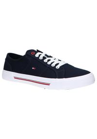 TOMMY HILFIGER - Męskie trampki sportowe Tommy Hilfiger CORE CORPORATE VULC CANVAS. Kolor: biały, niebieski, wielokolorowy. Sport: turystyka piesza