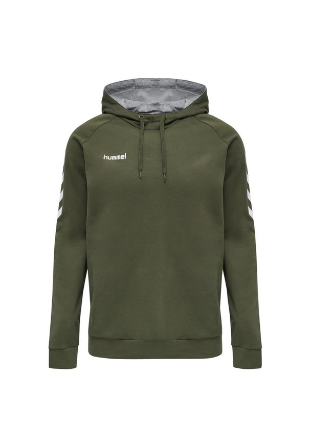 Hoodie Hummel hmlGO. Kolor: szary, wielokolorowy, brązowy, zielony. Sport: piłka ręczna