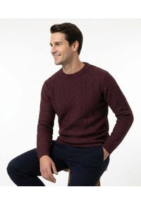 Męski Sweter z Dzianiny Bawełnianej (Knit) - Adriano Guinari - Bordowy. Kolor: czerwony. Materiał: bawełna. Wzór: ze splotem. Sezon: zima, jesień #3
