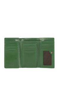Wittchen - Damski portfel z gładkiej skóry średni zielony. Kolor: zielony. Materiał: skóra. Wzór: gładki #4