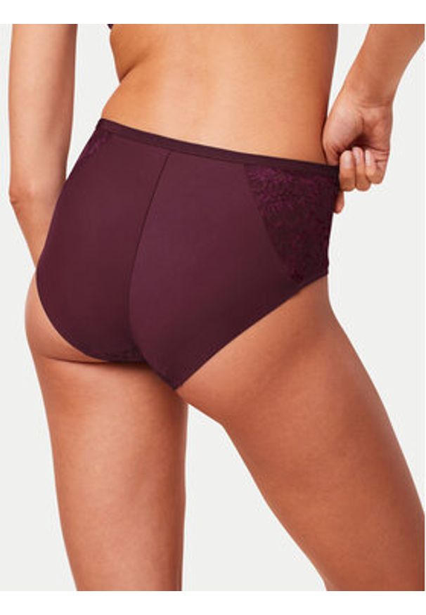 Triumph Figi klasyczne z wysokim stanem Amourette Charm 10216997 Bordowy. Stan: podwyższony. Kolor: czerwony. Materiał: syntetyk