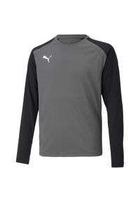 T-Shirt Puma Teampacer Gk Ls Jersey Jr Dzieci. Kolor: czarny, szary, wielokolorowy. Materiał: poliester. Sport: piłka nożna