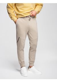 Ombre Clothing - Męskie spodnie dresowe joggery - beżowe V3 - Rozmiar: M. Okazja: na co dzień. Kolor: beżowy. Materiał: dresówka. Wzór: melanż, gładki, nadruk. Styl: casual, sportowy #1