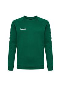 Bluza do piłki ręcznej dla dzieci Hummel hmlGO cotton. Kolor: zielony