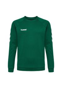 Bluza do piłki ręcznej dla dzieci Hummel hmlGO cotton. Kolor: zielony. Sport: piłka ręczna