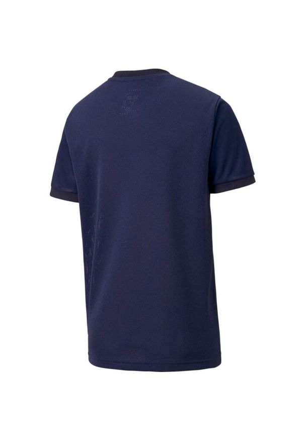 Koszulka dla dzieci Puma teamGOAL 23 Jersey. Kolor: niebieski. Materiał: jersey, poliester