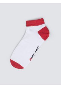 Big-Star - Stopki bawełniane czerwono-białe Filixos 603. Kolor: czerwony. Materiał: bawełna #1