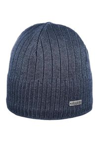 EISGLUT - Czapka męska Eisglut Kaig Cotton beanie zimowa wełniana. Kolor: niebieski. Materiał: wełna. Sezon: zima. Styl: sportowy #1