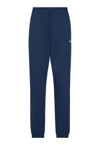 New Balance Spodnie dresowe Essentials MP41519 Granatowy Relaxed Fit. Kolor: niebieski. Materiał: syntetyk