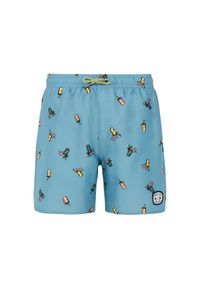 Spodenki kąpielowe dla dzieci Protest Rocker. Kolor: wielokolorowy, niebieski, zielony #1