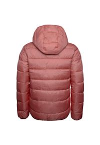 Kurtka uniwersalna dziewczęca Champion Hooded. Typ kołnierza: kaptur. Kolor: różowy. Materiał: puch. Sport: turystyka piesza #2