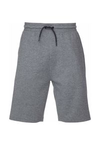 ZIP BAITS - Szorty męskie LOAP Ecnar Blu Gray 2XL. Kolor: szary. Długość: krótkie. Sezon: lato #1