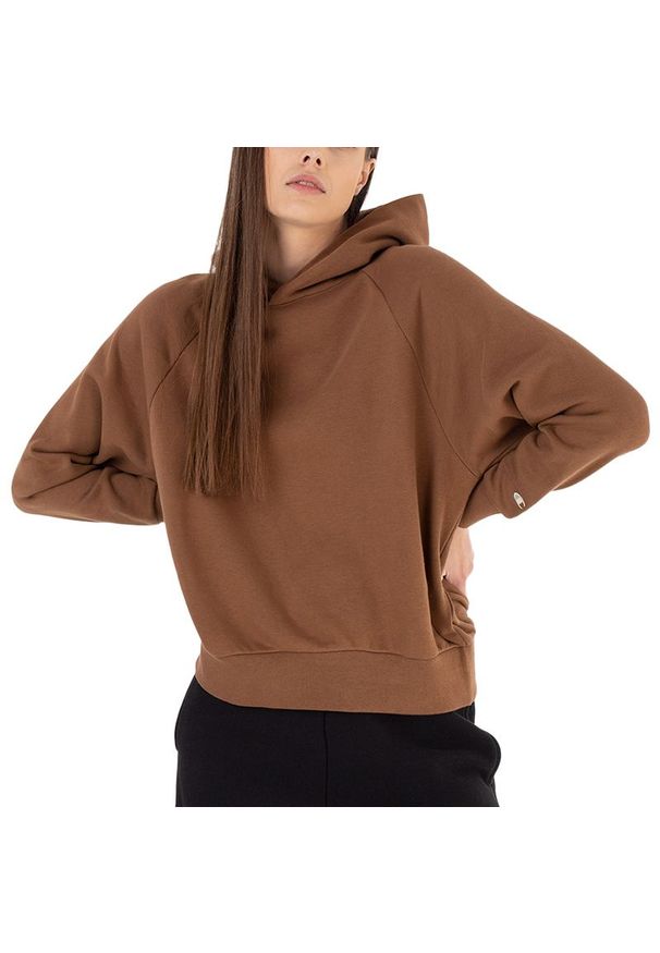 Bluza Champion Eco-Friendly Organic Cotton Hoodie 116215-MS519 - brązowa. Okazja: na co dzień, na spacer. Typ kołnierza: kaptur. Kolor: brązowy. Materiał: bawełna, poliester, materiał. Wzór: aplikacja. Styl: klasyczny, casual. Sport: turystyka piesza