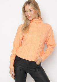 Born2be - Pomarańczowy Klasyczny Golf Ozdobiony Tłoczeniem Dainaria. Okazja: na co dzień. Typ kołnierza: golf. Kolor: pomarańczowy. Materiał: jeans. Długość rękawa: długi rękaw. Długość: długie. Wzór: aplikacja. Styl: klasyczny