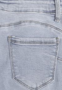 Renee - Jasnoniebieskie Jeansy z Bawełną Skinny Push Up Yastebia. Okazja: na co dzień. Stan: podwyższony. Kolor: niebieski. Wzór: aplikacja. Styl: elegancki, casual #4