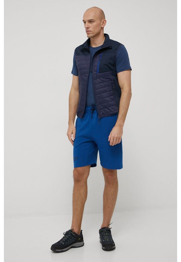 Helly Hansen szorty męskie. Okazja: na co dzień. Kolor: niebieski. Wzór: nadruk. Styl: casual