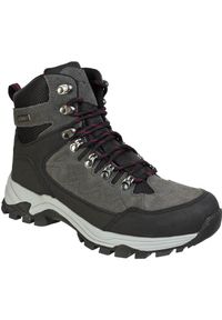 Buty trekkingowe damskie Whistler Detion WP. Kolor: wielokolorowy, czarny, szary