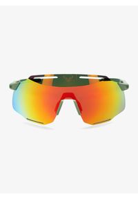 Okulary przeciwsłoneczne Dynafit Alpine Evo Sunglasses - sage/thyme. Kolor: zielony