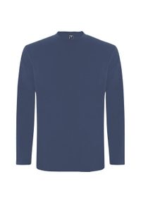 ROLY - Męska Koszulka Z Długim Rękawem Extreme. Kolor: szary, niebieski, wielokolorowy. Długość rękawa: długi rękaw. Długość: długie. Sport: turystyka piesza #1