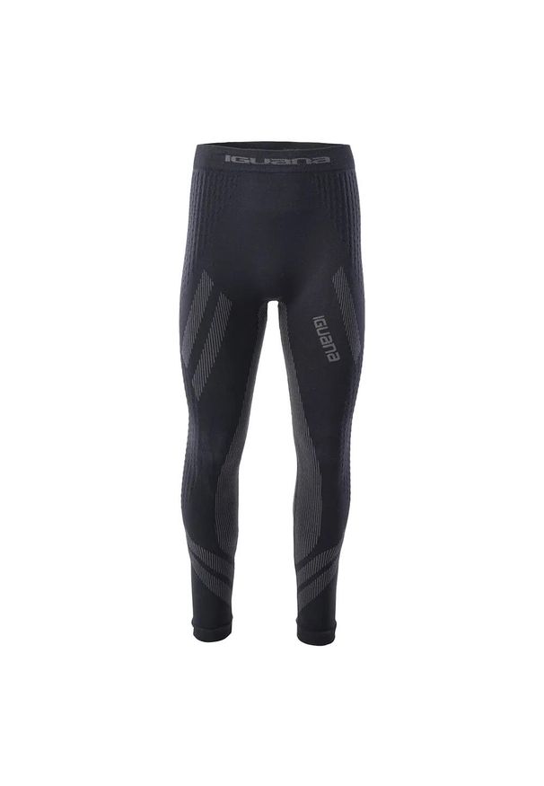 Iguana - Spodnie Męskie Gambit Thermoactive Base Layer Bottoms. Kolor: szary, wielokolorowy, brązowy, czarny. Sport: turystyka piesza