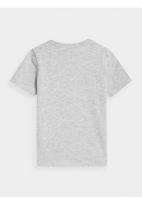 4f - T-shirt gładki chłopięcy. Kolor: szary. Materiał: dzianina, bawełna. Wzór: gładki