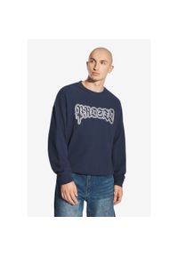 Bluza sportowa męska Prosto Graffiti Logo bez kaptura. Typ kołnierza: bez kaptura. Kolor: niebieski #1