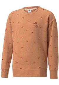 Bluza Puma dla dzieci 110 - Wygoda z miękkiej bawełny. Kolor: wielokolorowy. Materiał: bawełna. Wzór: nadruk. Sport: piłka nożna