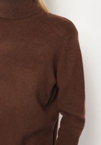 Born2be - Brązowy Casualowy Golf z Wełną o Prostym Kroju Reiselia. Okazja: na co dzień. Typ kołnierza: golf. Kolor: brązowy. Materiał: wełna. Styl: casual #5