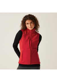 Regatta - Damski ochraniacz na ciało Flux Softshell. Kolor: czerwony. Materiał: softshell. Sport: turystyka piesza #1