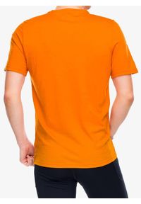 Koszulka merino męska Smartwool Active Short Sleeve. Kolor: pomarańczowy. Sport: fitness