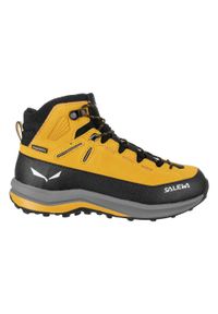 Buty Turystyczne Dziecięce Salewa Mtn Trainer 2 Mid Ptx K. Kolor: wielokolorowy. Materiał: zamsz