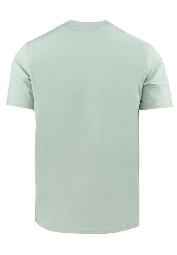 Męska Koszulka (T-Shirt) - Pako Jeans -Jasna Mięta, Górski Nadruk. Okazja: na co dzień. Materiał: bawełna. Wzór: nadruk. Styl: casual