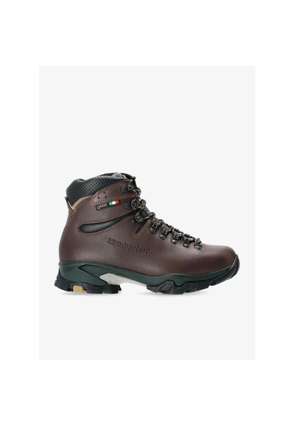 Buty trekkingowe damskie Zamberlan Vioz GTX. Kolor: brązowy