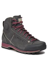 Dolomite Trekkingi Ws 54 High Fg Evo Gtx GORE-TEX 292533 Szary. Kolor: szary #2