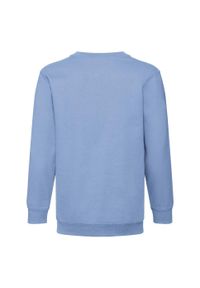 FRUIT OF THE LOOM - Bluza Dziecięca Premium W Komplecie. Kolor: niebieski