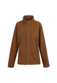 Regatta - Bluza Damska Heidy Z Pełnym Zamkiem Błyskawicznym. Kolor: brązowy. Sezon: zima. Styl: sportowy. Sport: turystyka piesza #1