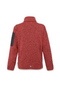 Regatta - Kurtka Dziecięca Newhill Fleece Jacket. Kolor: biały, różowy, wielokolorowy. Sezon: zima