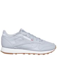 Buty do chodzenia damskie Reebok Classic. Kolor: wielokolorowy, niebieski, szary. Materiał: materiał, skóra, syntetyk. Szerokość cholewki: normalna. Model: Reebok Classic. Sport: turystyka piesza