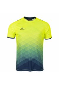 STANNO - Jersey Stanno Altius. Kolor: szary, żółty, wielokolorowy, niebieski, zielony. Materiał: jersey. Sport: piłka nożna